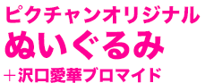 ピクチャンオリジナルぬいぐるみ + 沢口愛華ブロマイド