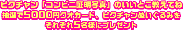 ピクチャン「コンビニ証明写真」のいいとこ教えてね 抽選で5000円クオカード、ピクチャンぬいぐるみをそれぞれ5名様にプレゼント