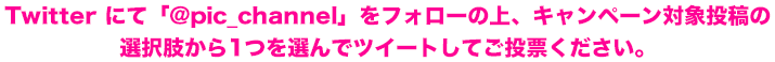 Twitterにて「@pic_channel」をフォローの上、キャンペーン対象投稿の選択肢から1つを選んでツイートしてご投票ください。